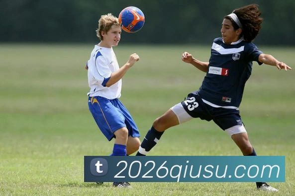 App Interface Preview