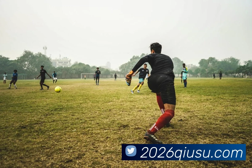 球速体育APP 封面图